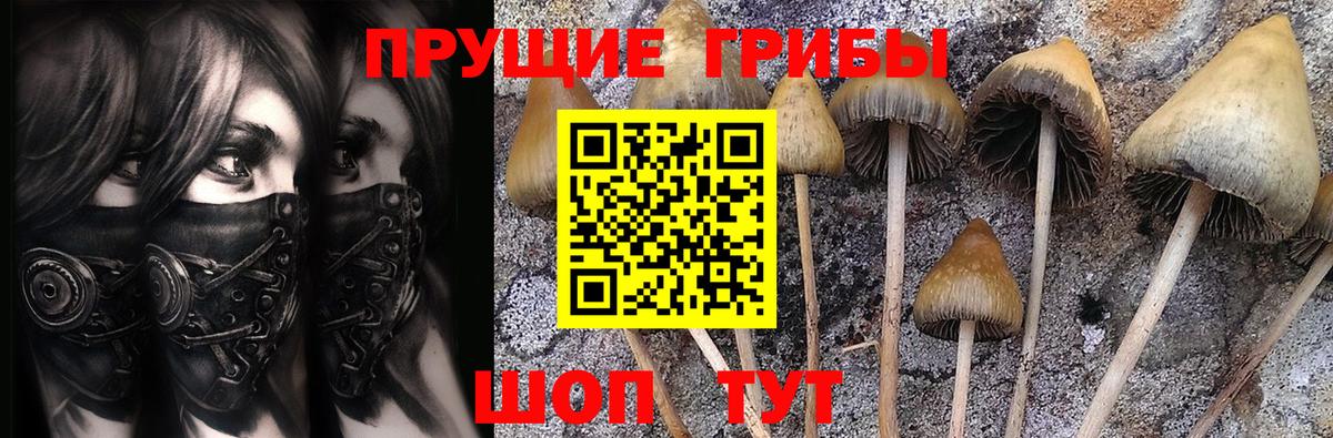 Алушта  цены   Вход с VPN  Галлюциногенные грибы MAGIC MUSHROOMS  Псилоцибиновые грибы GOLDEN TEACHER 